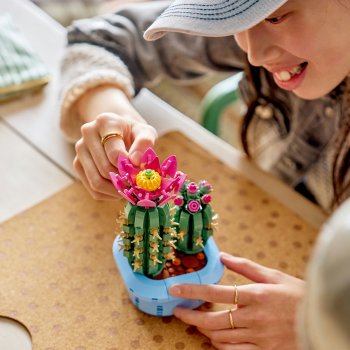Cactus înflorit