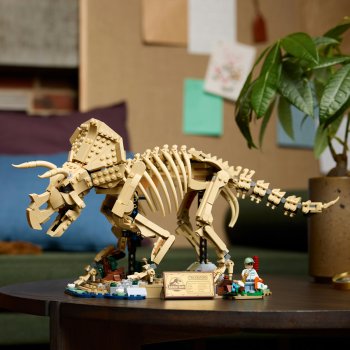 Fosile de dinozaur: Triceratops