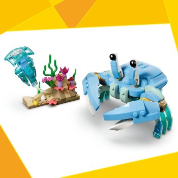 Animale marine: Delfini superbi