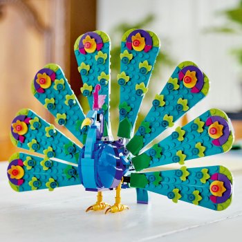 Paun exotic