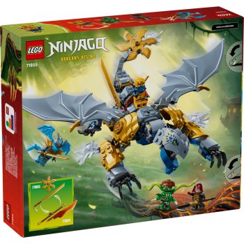 Bătălia dragonului ninja Riyu