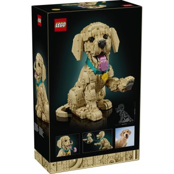 Cățeluș Golden Retriever