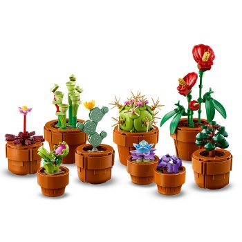 Plantute in ghiveci