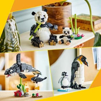 Animale salbatice: Familia de ursi panda