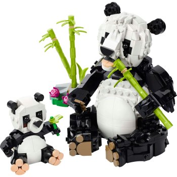 Animale salbatice: Familia de ursi panda