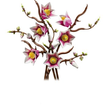 Ramuri de magnolie