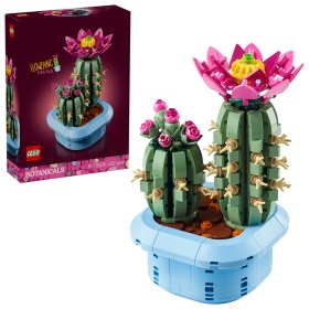 Cactus înflorit