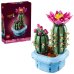 Cactus înflorit