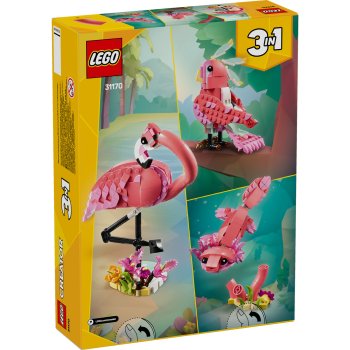 Animale salbatice: Flamingo roz