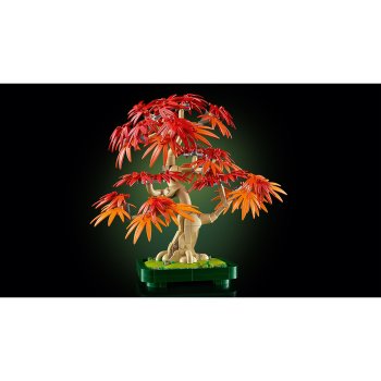 Bonsai de artar japonez rosu