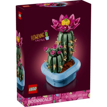 Cactus înflorit