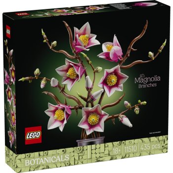 Ramuri de magnolie