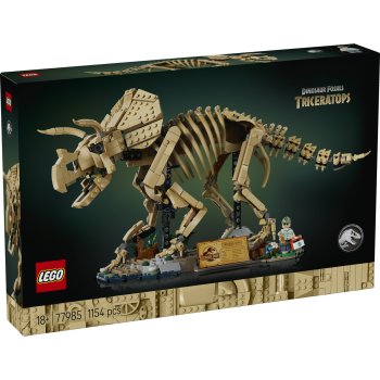 Fosile de dinozaur: Triceratops
