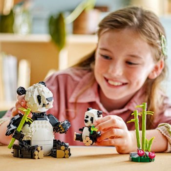 Animale salbatice: Familia de ursi panda