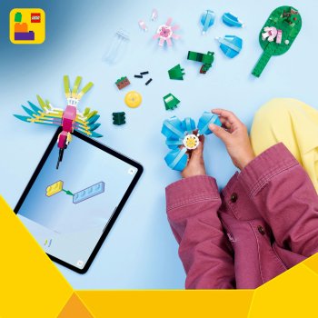 Animale sălbatice: Colibri colorat