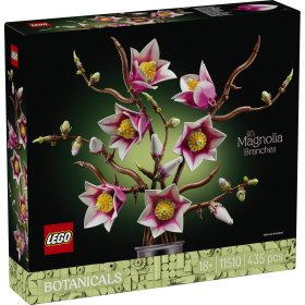 Ramuri de magnolie