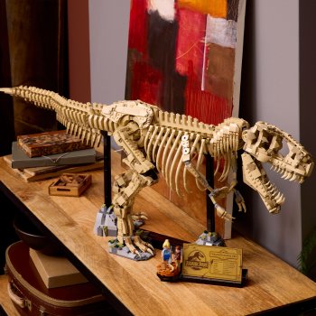 Fosile de dinozaur: Tyrannosaurus Rex