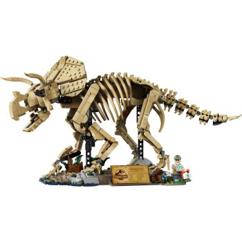 Fosile de dinozaur: Triceratops