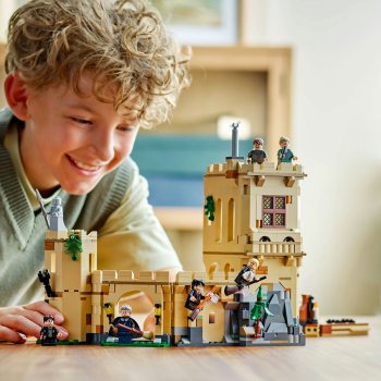 Castelul Hogwarts™: Lectii de zbor