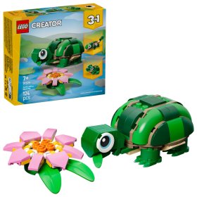 Broască-țestoasă cu o floare de nufăr