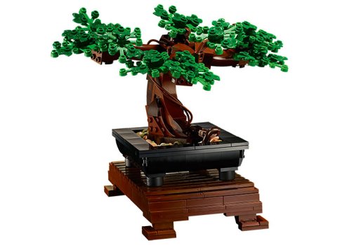 Bonsai