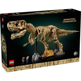Fosile de dinozaur: Tyrannosaurus Rex