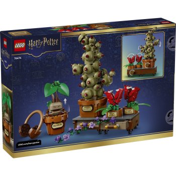 Plante pentru ora de ierbologie de la Hogwarts