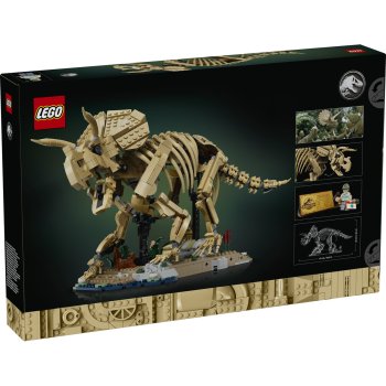 Fosile de dinozaur: Triceratops