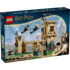 Castelul Hogwarts™: Lectii de zbor