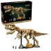 Fosile de dinozaur: Tyrannosaurus Rex