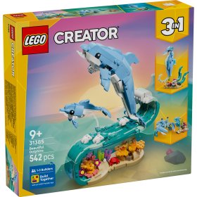 Animale marine: Delfini superbi