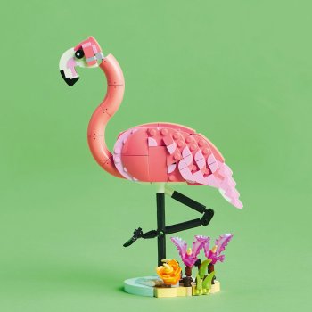 Animale salbatice: Flamingo roz
