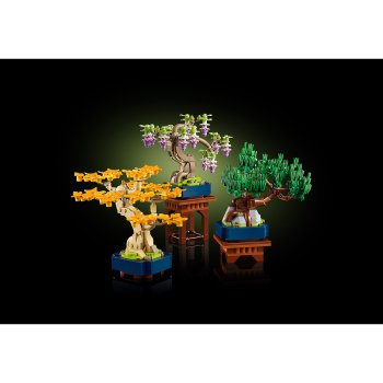 Arbori bonsai