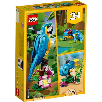 Papagal exotic