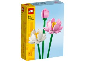 Lotus
