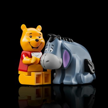 Winnie the Pooh