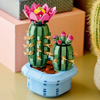 Cactus înflorit