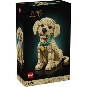 Cățeluș Golden Retriever