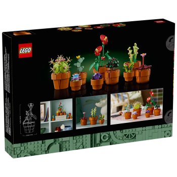 Plantute in ghiveci