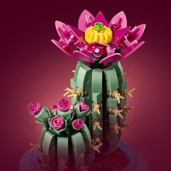 Cactus înflorit