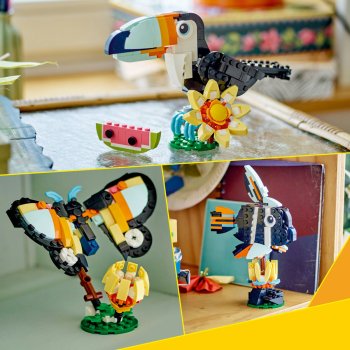 Animale salbatice: Tucan tropical