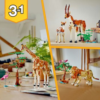 Animale salbatice din safari