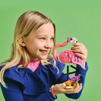 Animale salbatice: Flamingo roz