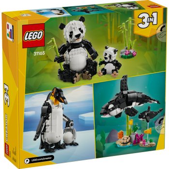 Animale salbatice: Familia de ursi panda