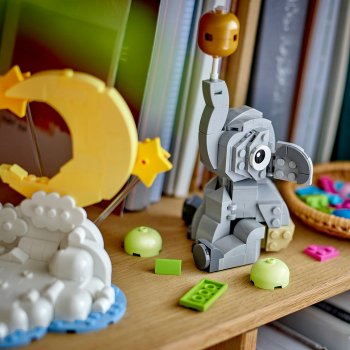 Pui de elefant pe cer