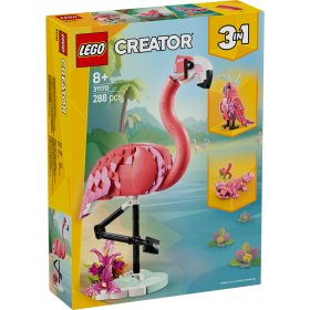 Animale salbatice: Flamingo roz