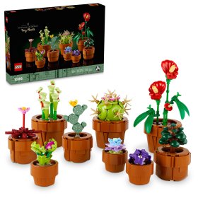 Plantute in ghiveci