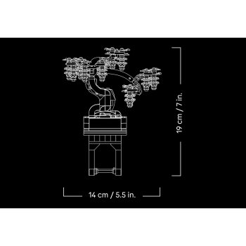 Arbori bonsai