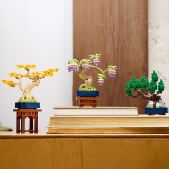 Arbori bonsai