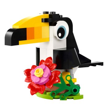 Tucan tropical